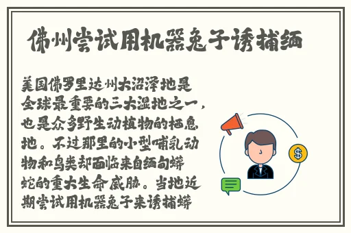 佛珠一颗一颗往里面放啊哈